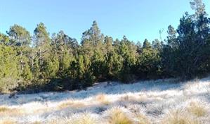 El frío de montaña se intensifica en RD con temperaturas que bajan hasta los 5 °C
