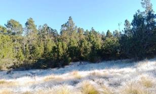 El frío de montaña se intensifica en RD con temperaturas que bajan hasta los 5 °C