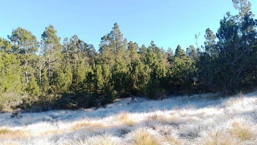 El frío de montaña se intensifica en RD con temperaturas que bajan hasta los 5 °C