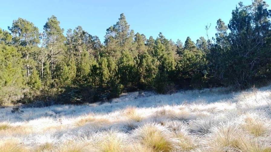 Valle Nuevo en año nuevo