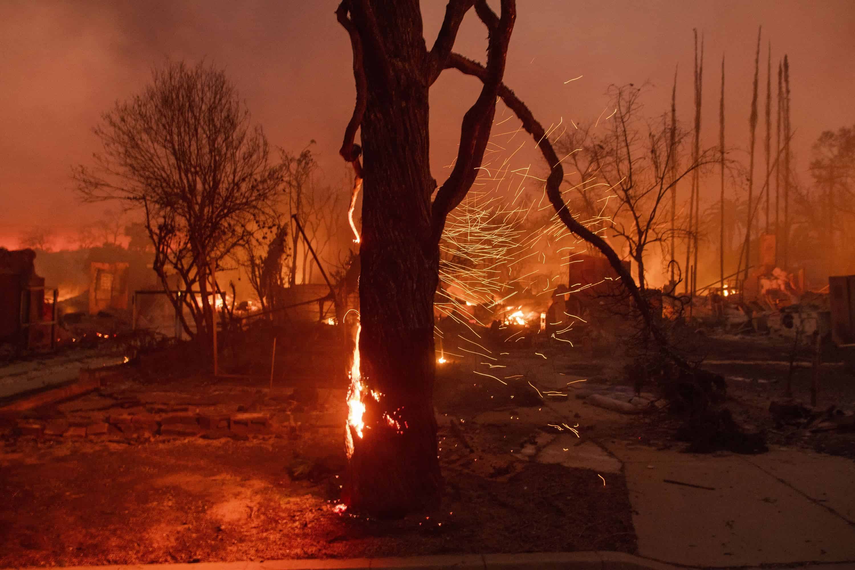 Las brasas son sopladas de un árbol en llamas mientras el fuego de Eaton arde en Altadena, California, el miércoles 8 de enero de 2025.