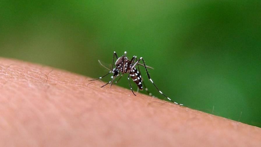 Puerto Rico extiende hasta finales de marzo el umbral epidémico de dengue