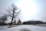 Una fuerte tormenta invernal provoca cancelaciones de vuelos y cierra escuelas en el sur de EEUU