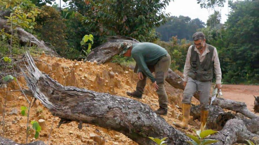 Un estudio revela la adaptación humana a la selva tropical hace más de 40,000 años