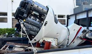 Empleados del Puerto Multimodal de Caucedo involucrados en Operación Panthera 7