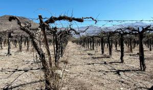 El cambio climatico agravará las sequías, que serán más largas e intensas