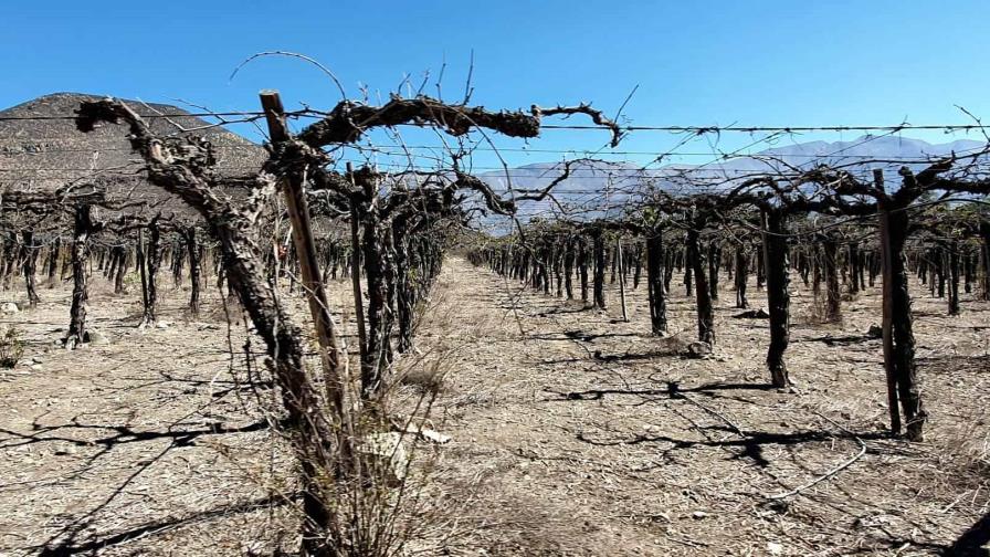 El cambio climatico agravará las sequías, que serán más largas e intensas