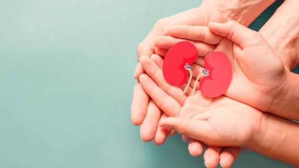 Un estudio asocia los fármacos contra la obesidad a efectos perjudiciales para el riñón