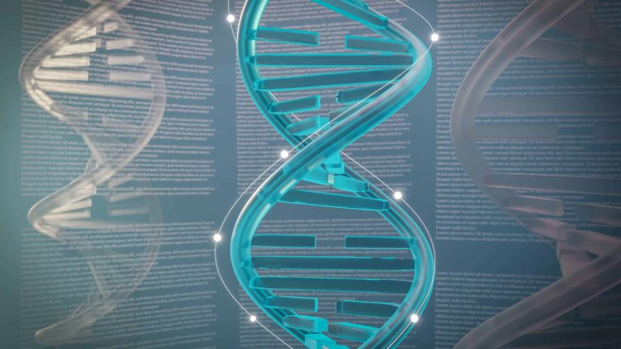 Un mapa de cómo se mezcla el ADN en la reproducción abre la vía a mejorar la fertilidad