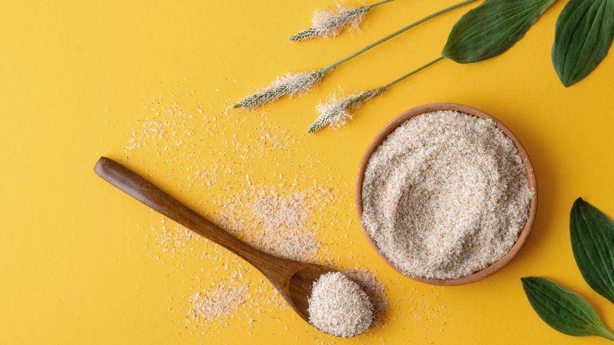 ¿Estamos sobrevalorando los beneficios del psyllium en la salud intestinal?