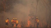La ONU acuerda negociar un protocolo espec&iacute;fico contra los delitos ambientales