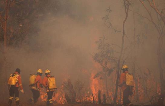 La ONU acuerda negociar un protocolo espec&iacute;fico contra los delitos ambientales