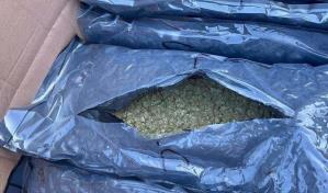 Autoridades ocupan 95 paquetes de marihuana en Puerto Río Haina