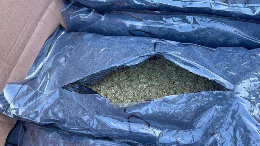 Autoridades ocupan 95 paquetes de marihuana en Puerto Río Haina