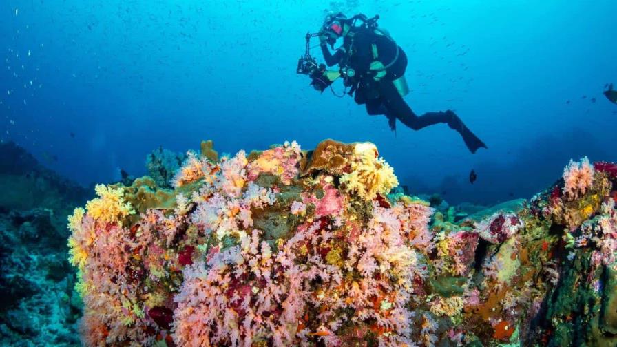 El Caribe activa un mecanismo para coordinar el manejo sustentable de recursos marinos