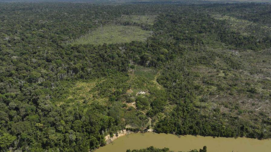 La degradación en la Amazonía brasileña salta casi un 500 % en 2024