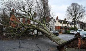 Cientos de miles siguen sin electricidad en Reino Unido e Irlanda por tormenta Eowyn Cientos de miles siguen sin electricidad en Reino Unido e Irlanda por tormenta Eowyn