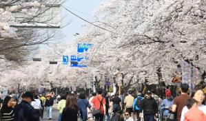 Corea del Sur registró en 2024 un aumento en su tasa de natalidad, según proyecciones Corea del Sur registró en 2024 un aumento en su tasa de natalidad, según proyecciones