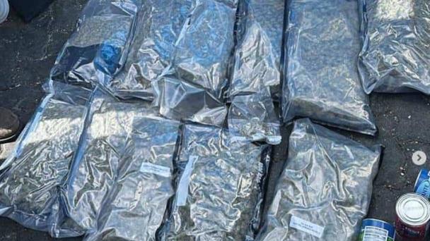 Hallan 12 paquetes de marihuana en un tanque de comida enviado desde Nueva York