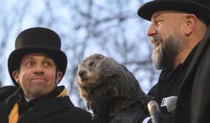 La famosa marmota Phil predice que el invierno será más largo de lo esperado La famosa marmota Phil predice que el invierno será más largo de lo esperado