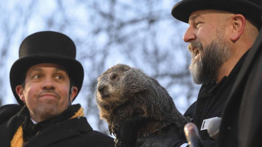 La famosa marmota Phil predice que el invierno será más largo de lo esperado La famosa marmota Phil predice que el invierno será más largo de lo esperado