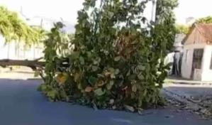 Al menos 18 detenidos por invasión de terrenos en Navarrete, lo que genera una protesta