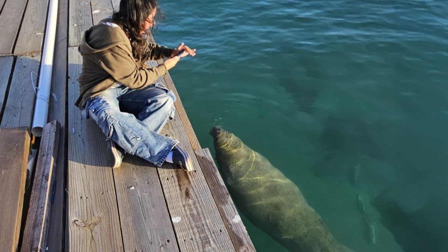 Manatí es bautizada “Boca Chica”; tiene 3 días visitando este popular destino