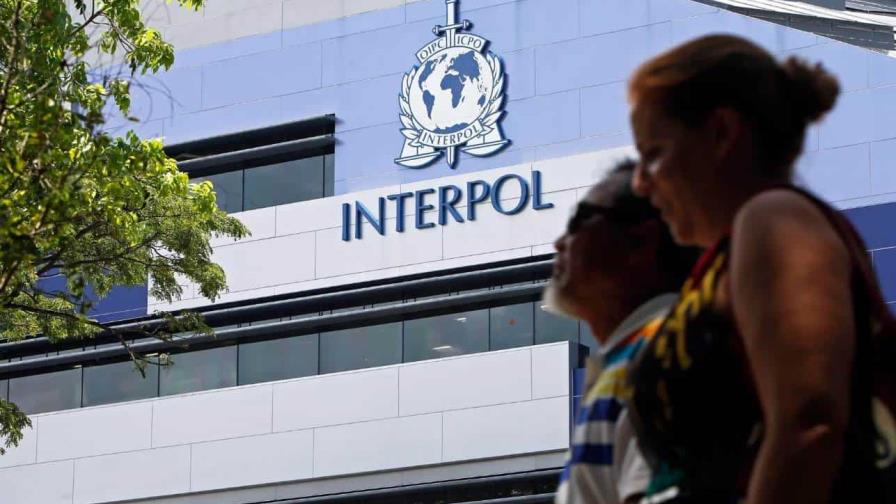 Interpol arresta a 365 personas implicadas en el tráfico de animales y plantas protegidos