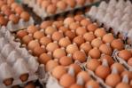 Ante el aumento del precio de los huevos, bodegueros dominicanos en Nueva York los venden al detalle