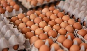 Ante el aumento del precio de los huevos, bodegueros dominicanos en Nueva York los venden al detalle
