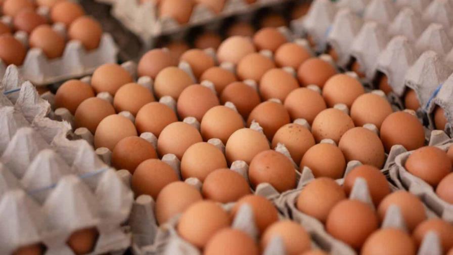 Ante el aumento del precio de los huevos, bodegueros dominicanos en Nueva York los venden al detalle