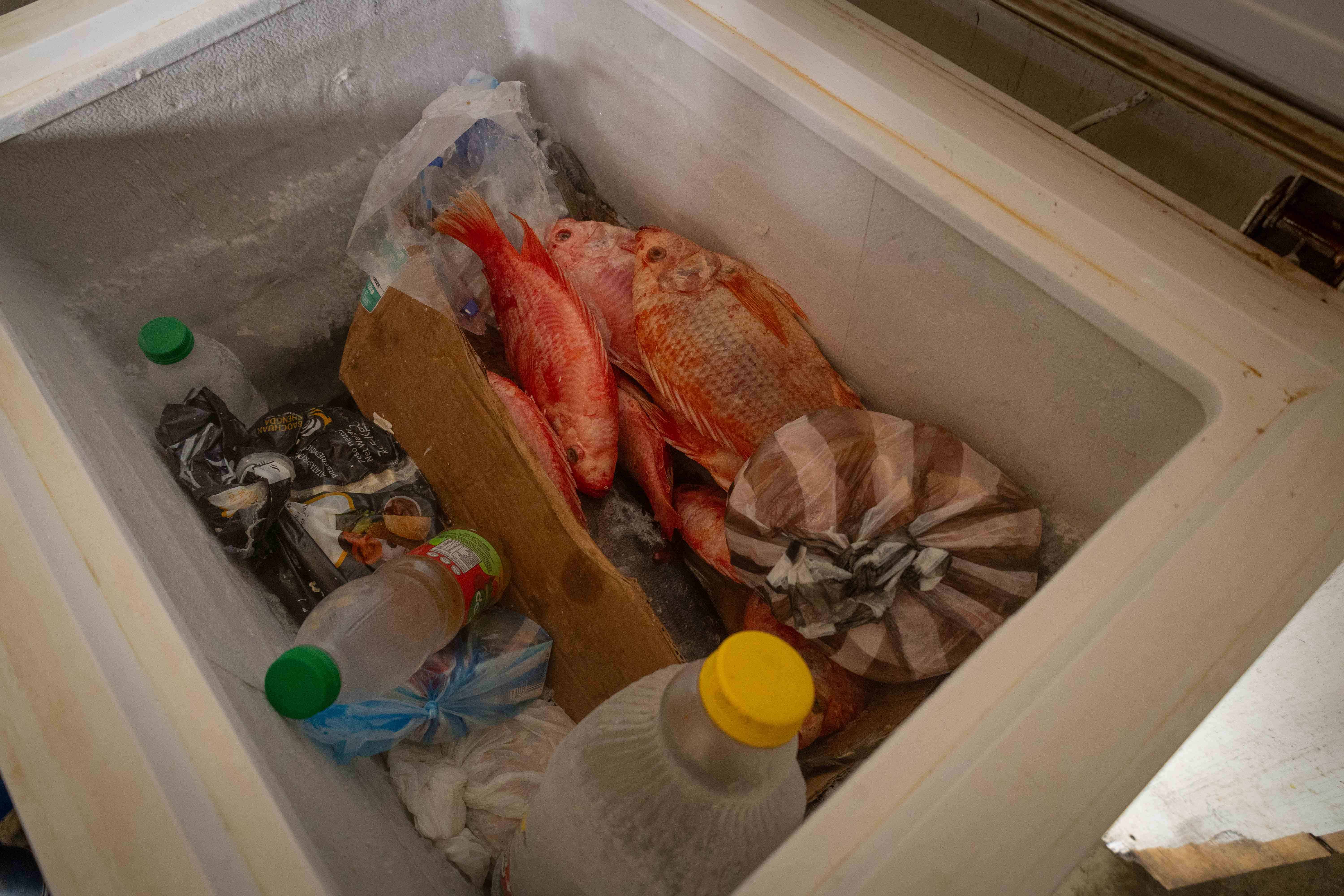 Una foto del freezer de Rosario, con pescado y otros alimentos que cocina en su puesto de comida.