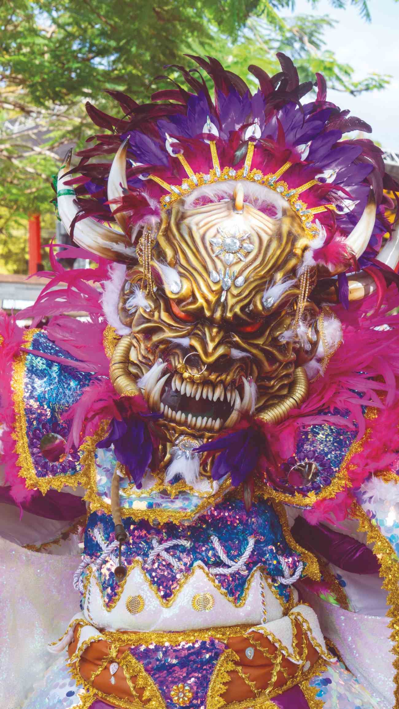 El Carnaval de la Vega comenzó el pasado domingo.