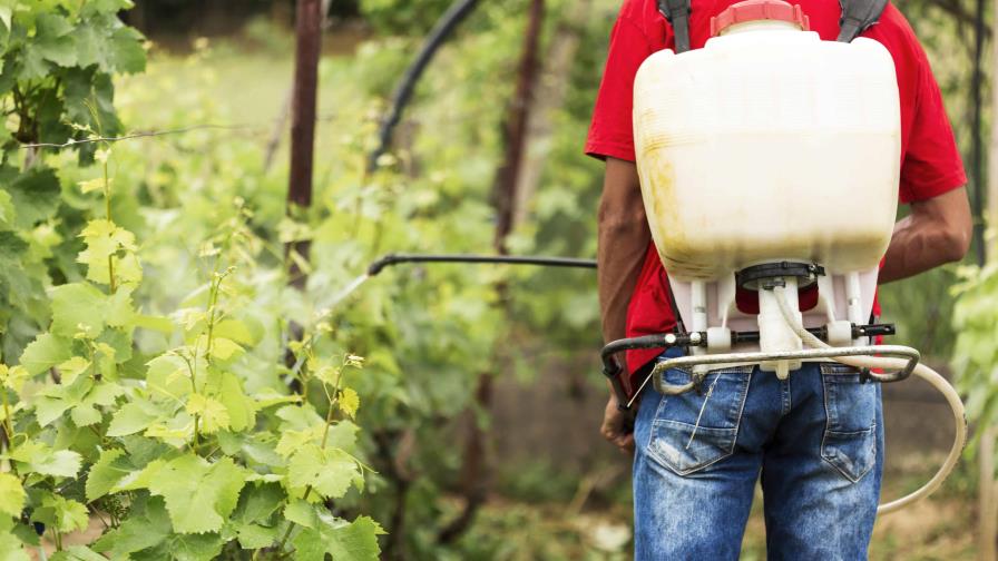 Los pesticidas causan daño considerable a la biodiversidad, advierte estudio