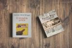 Novelas en los linderos de la historia