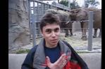 YouTube celebra 20 años: el primer video, un elefante en el zoo, supera los 348 millones de visitas