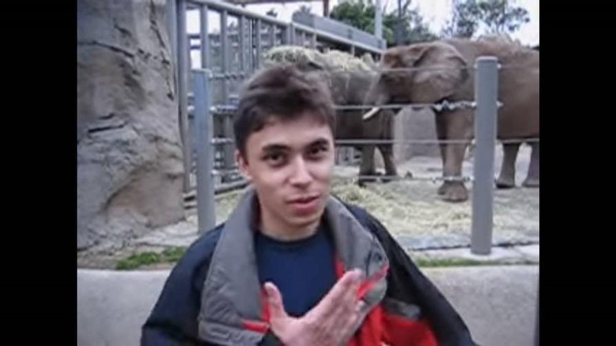 YouTube celebra 20 años: el primer video, un elefante en el zoo, supera los 348 millones de visitas