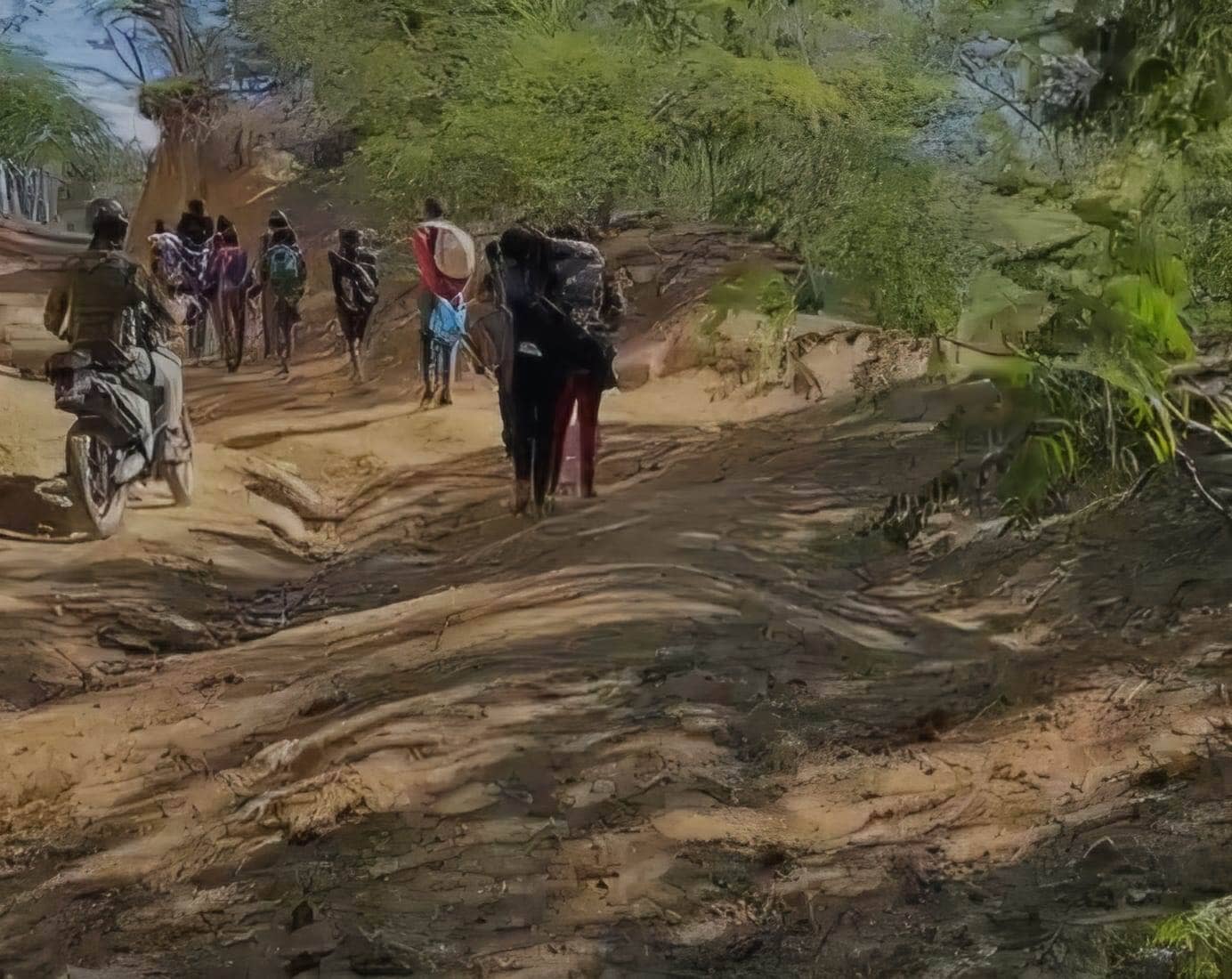 Imágenes de los indocumentados haitianos interceptados en distintas provincias del país.