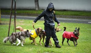 Zonas quemadas en California se alistan para inundaciones y Oregon espera lluvia helada y nieve