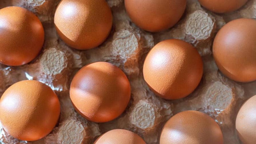 Sube el precio de los huevos en EE. UU. por la gripe aviar y el repunte de la inflación