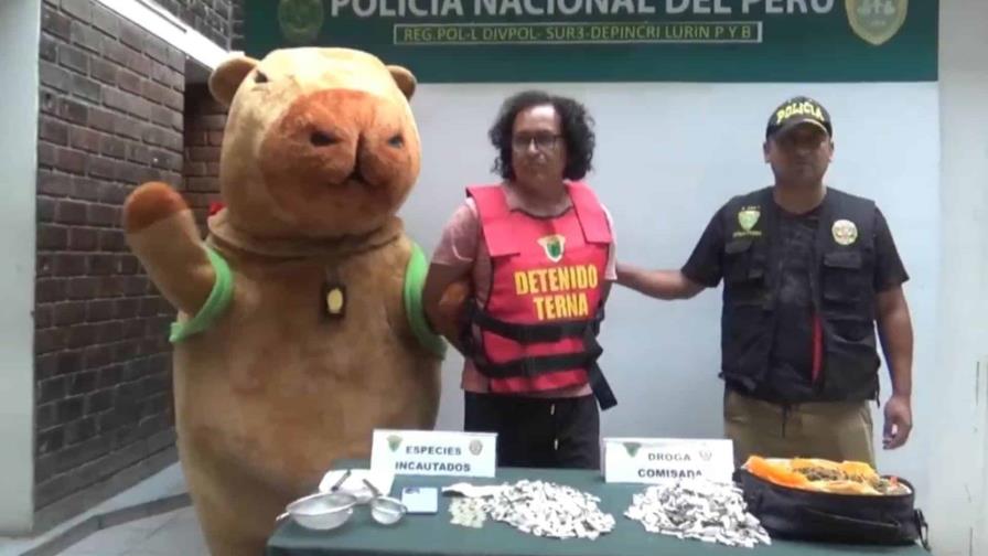 Policía peruano se disfraza de la Capibara del amor para capturar a traficante de drogas