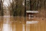 Al menos nueve muertos por tormentas en el sureste de Estados Unidos