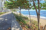 Crimen ambiental ¿Quién cortó los árboles de uva de playa?