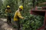 ¿Cómo los despidos masivos de Trump aumentan riesgo de incendio en oeste de EE.UU.? ¿Cómo los despidos masivos de Trump aumentan riesgo de incendio en oeste de EE.UU.?