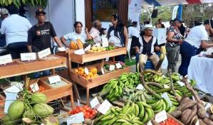 Agricultura: producción agropecuaria ya supera los 380 millones de quintales