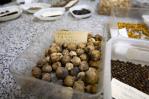 Conservación de 318 especies amenazadas, logro del Jardín Botánico durante el 2024