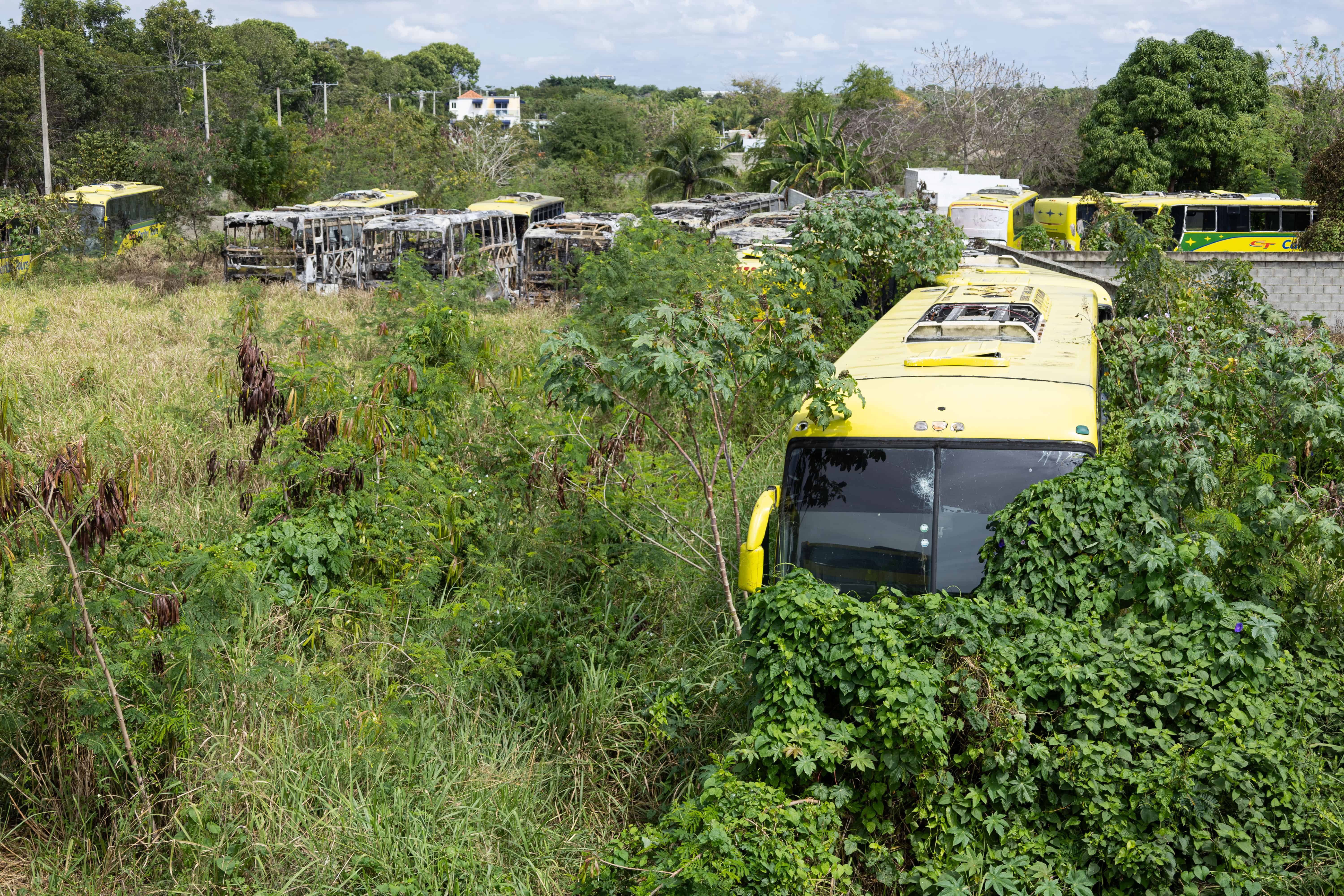 En el solar hay más de 15 chatarras de autobuses.