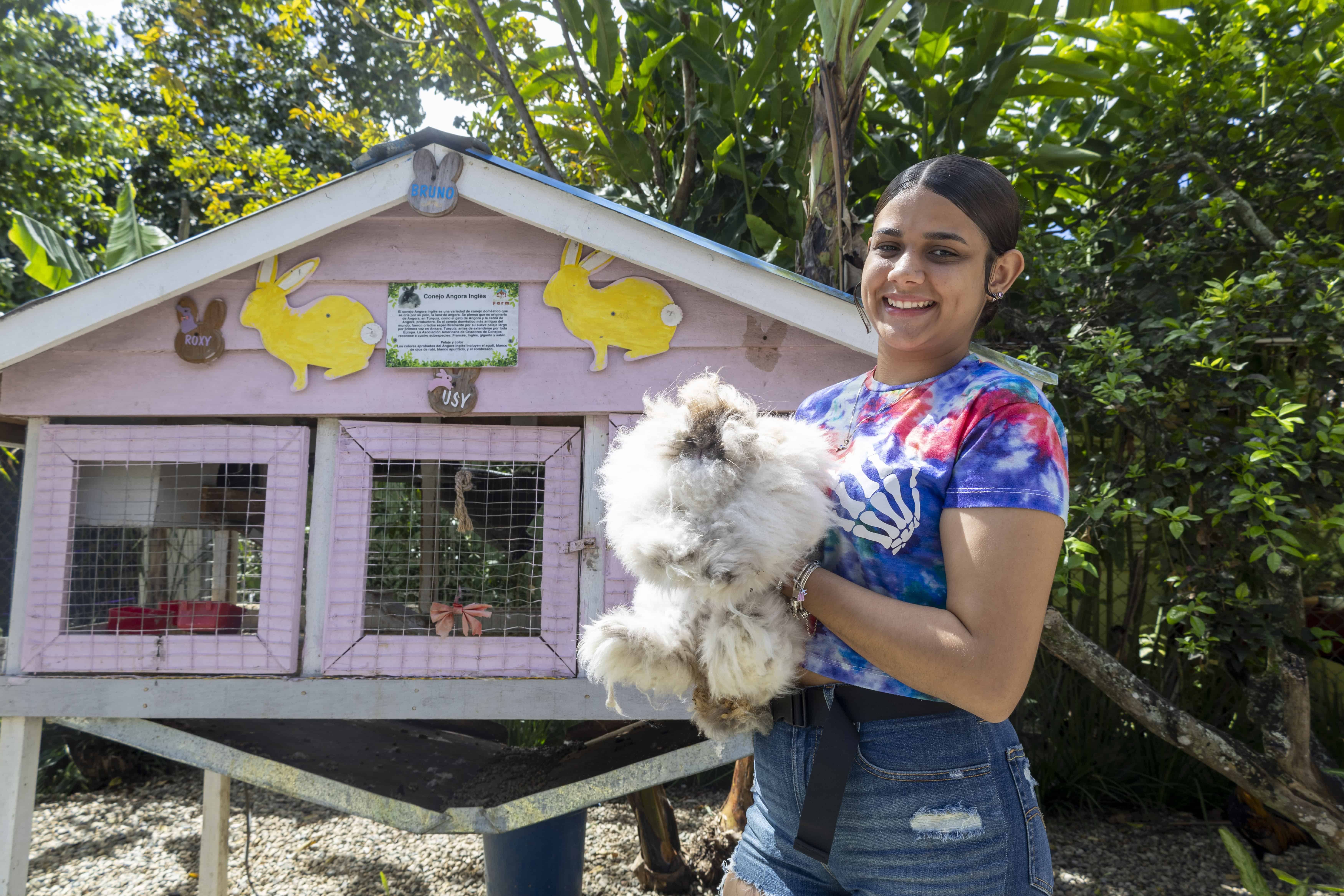 El conejo angora inglés de abundante pelaje.