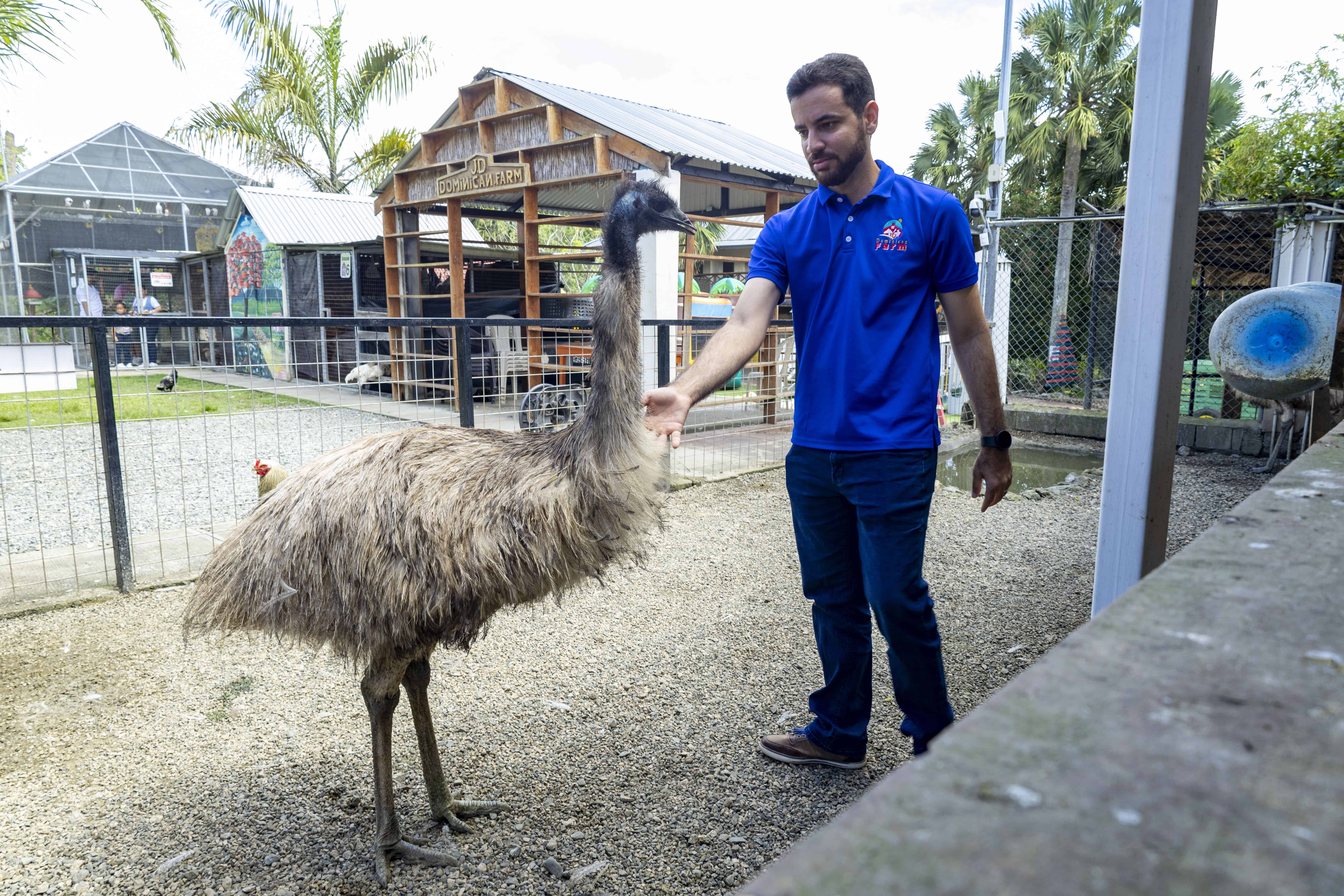 El gerente de JD Dominican Farm, Pavel Ureña, muestra al famoso emú. 