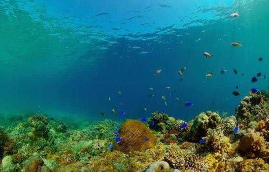 El mundo llega a la COP17 sobre biodiversidad con retrasos en sus metas